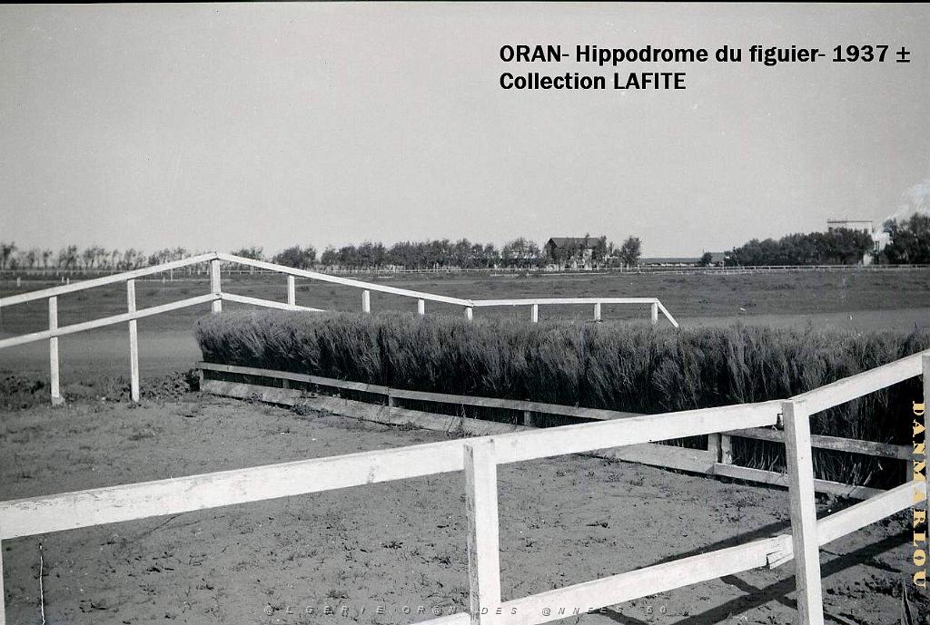 ORAN 1937 HYPPODROME DU FIGIER    (16).jpg